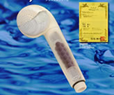 クリスタルクイーン